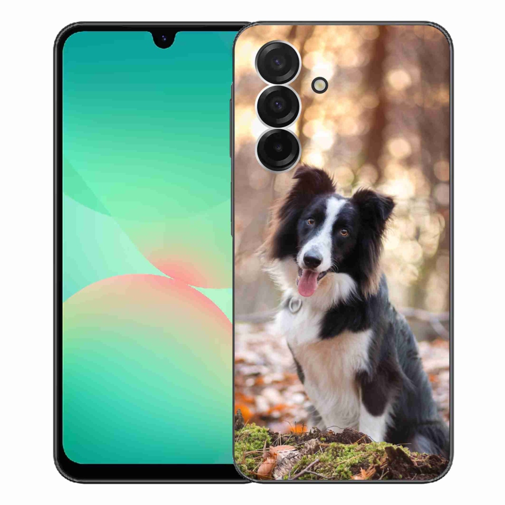 Gelový kryt mmCase na Samsung Galaxy A26 5G - border kolie 1