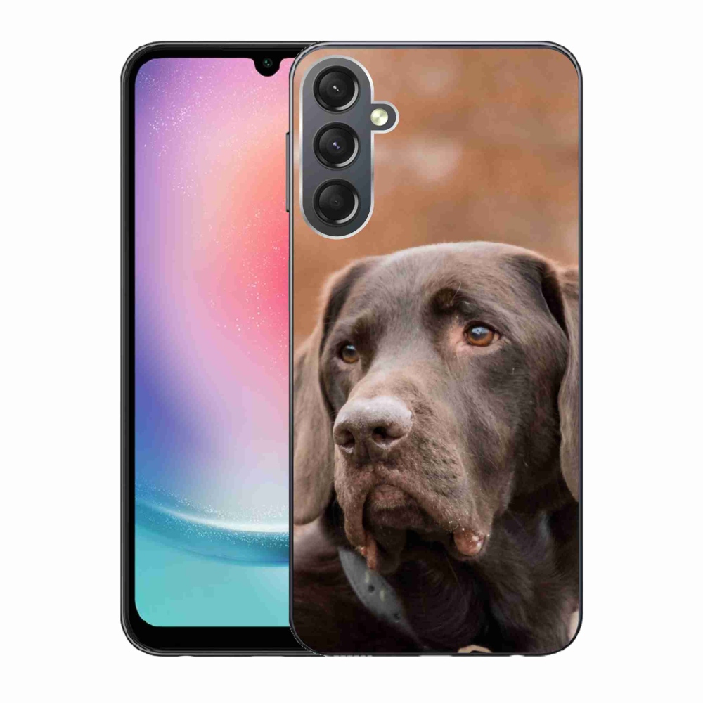 Gelový obal mmCase na Samsung Galaxy A24 - hnědý labrador