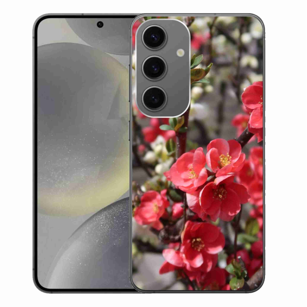 Gelový kryt mmCase na Samsung Galaxy S24+ - červené květy