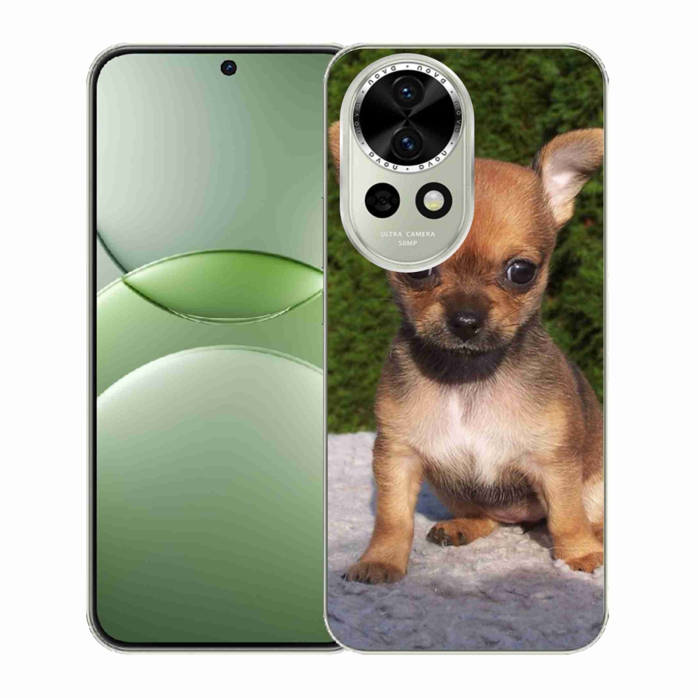 Gelový kryt mmCase na Huawei Nova 13 5G - čivava 3