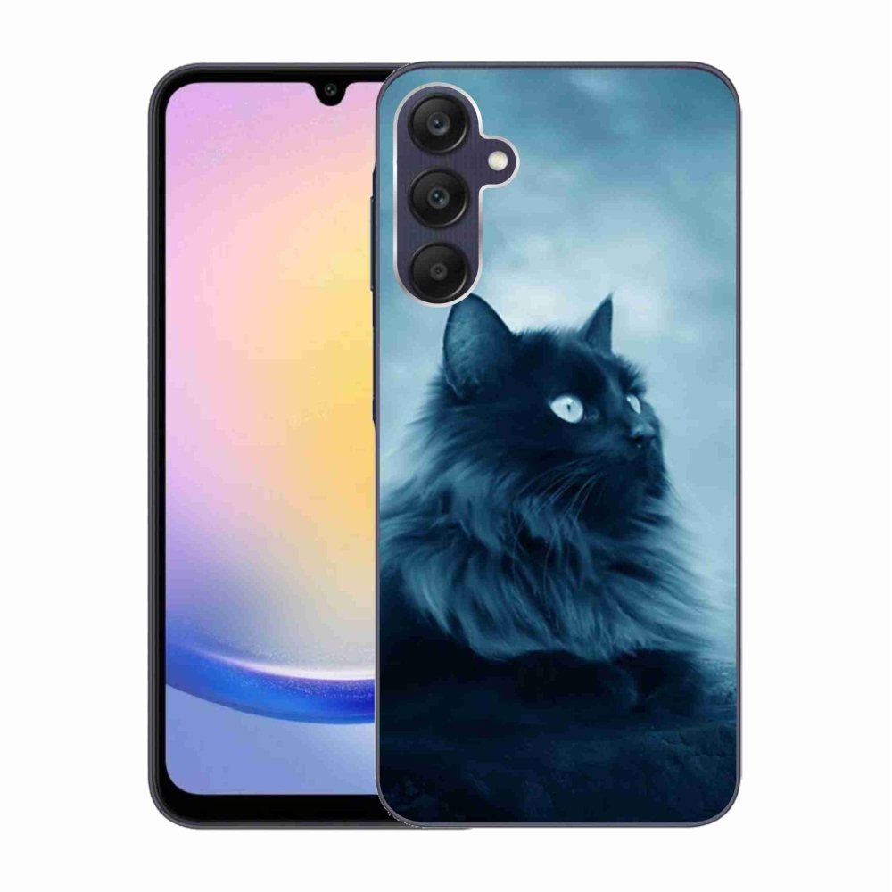 Gelový obal mmCase na Samsung Galaxy A25 5G - černá kočka 1