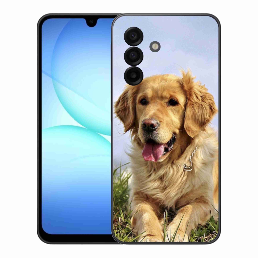 Gelový kryt mmCase na Samsung Galaxy A17 5G - zlatý retrívr