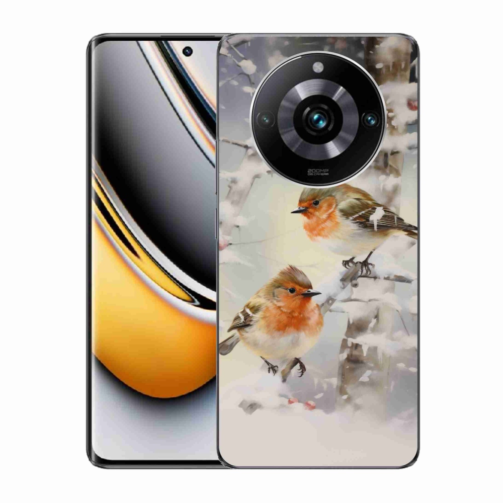 Gelový kryt mmCase na Realme 11 Pro/11 Pro+ - ptáčci v zimě