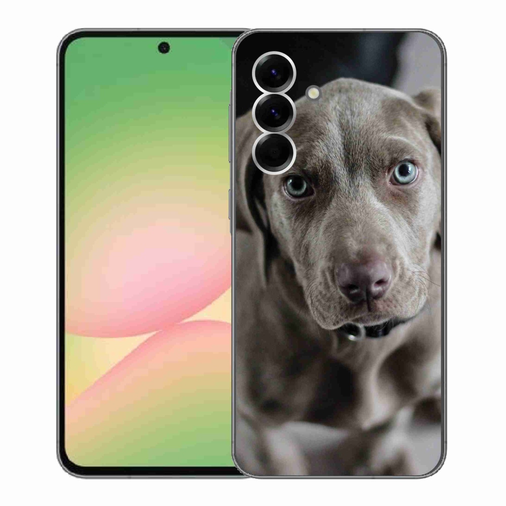 Gelový kryt mmCase na Samsung Galaxy A56 5G - výmarský ohař