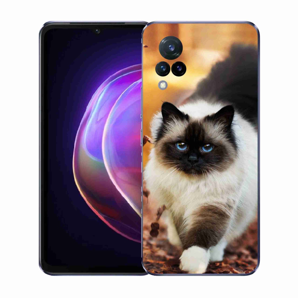Gelový kryt mmCase na Vivo V21 4G/5G - kočka