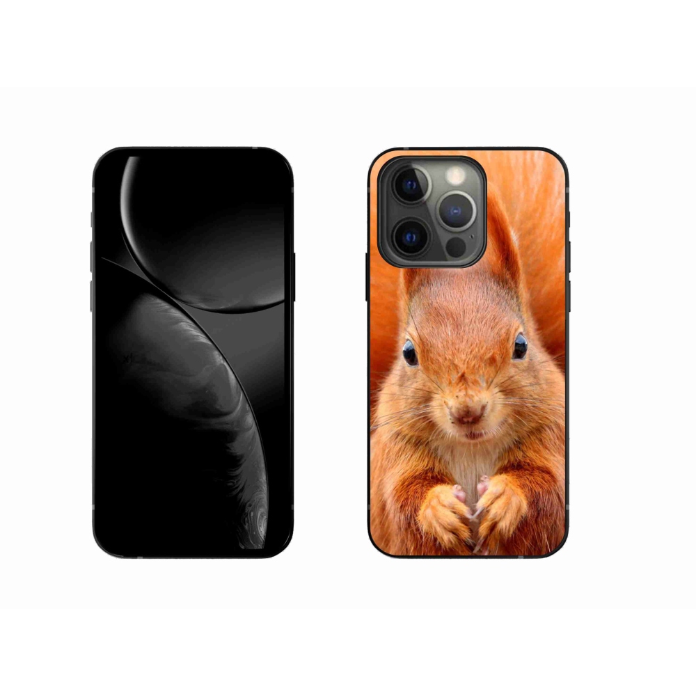 Gelový kryt mmCase na iPhone 13 Pro 6.1 - veverka