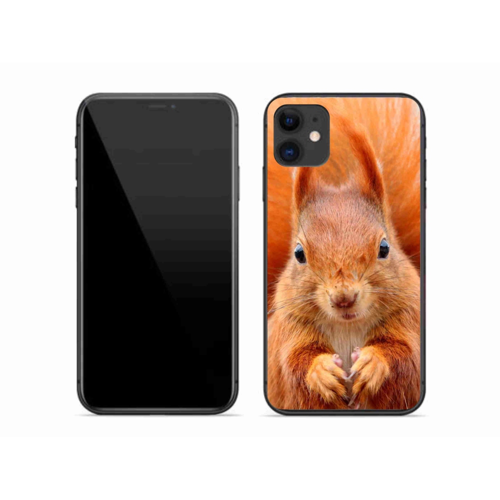 Gelový kryt mmCase na iPhone 11 - veverka