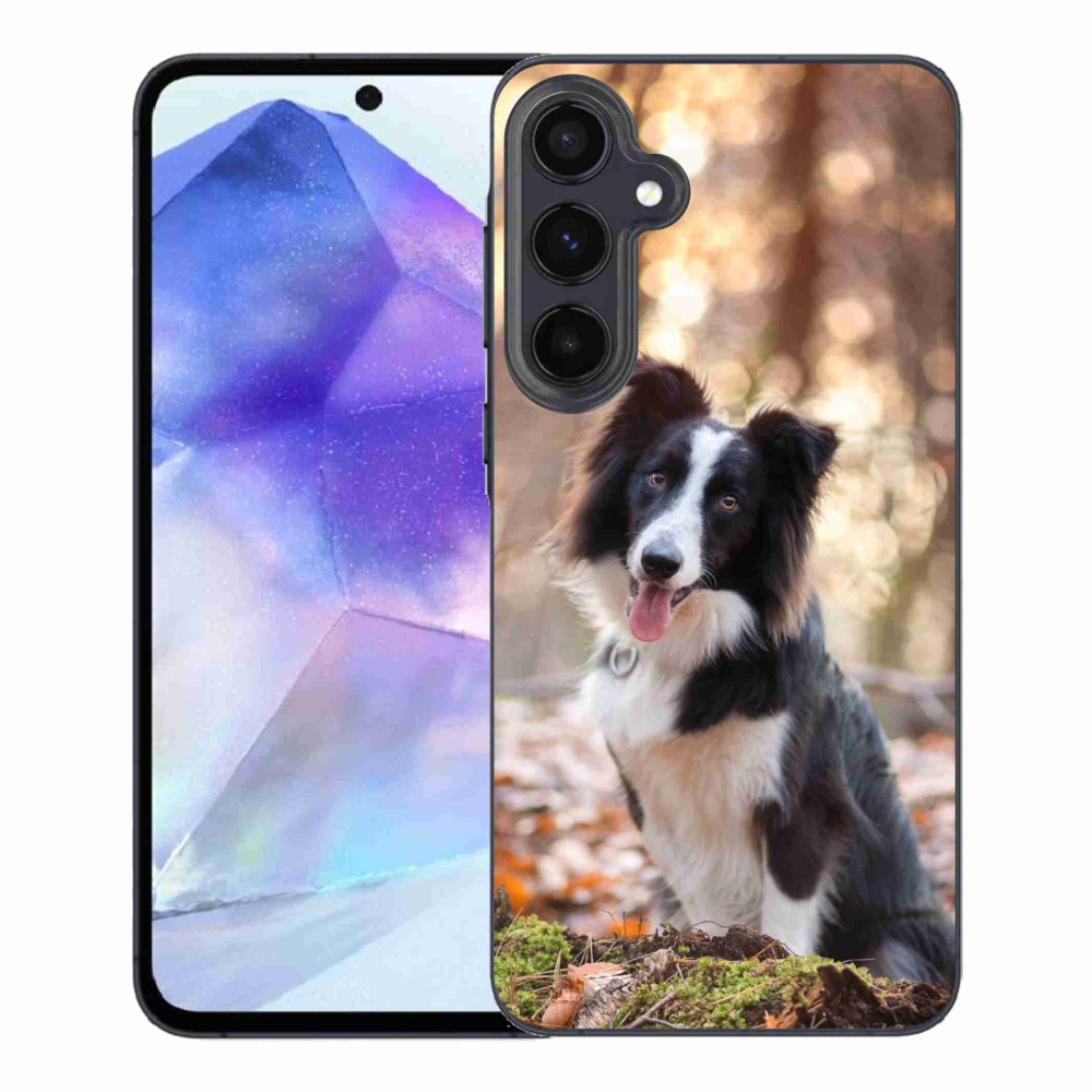 Gelový obal mmCase na Samsung Galaxy A55 5G - border kolie 1