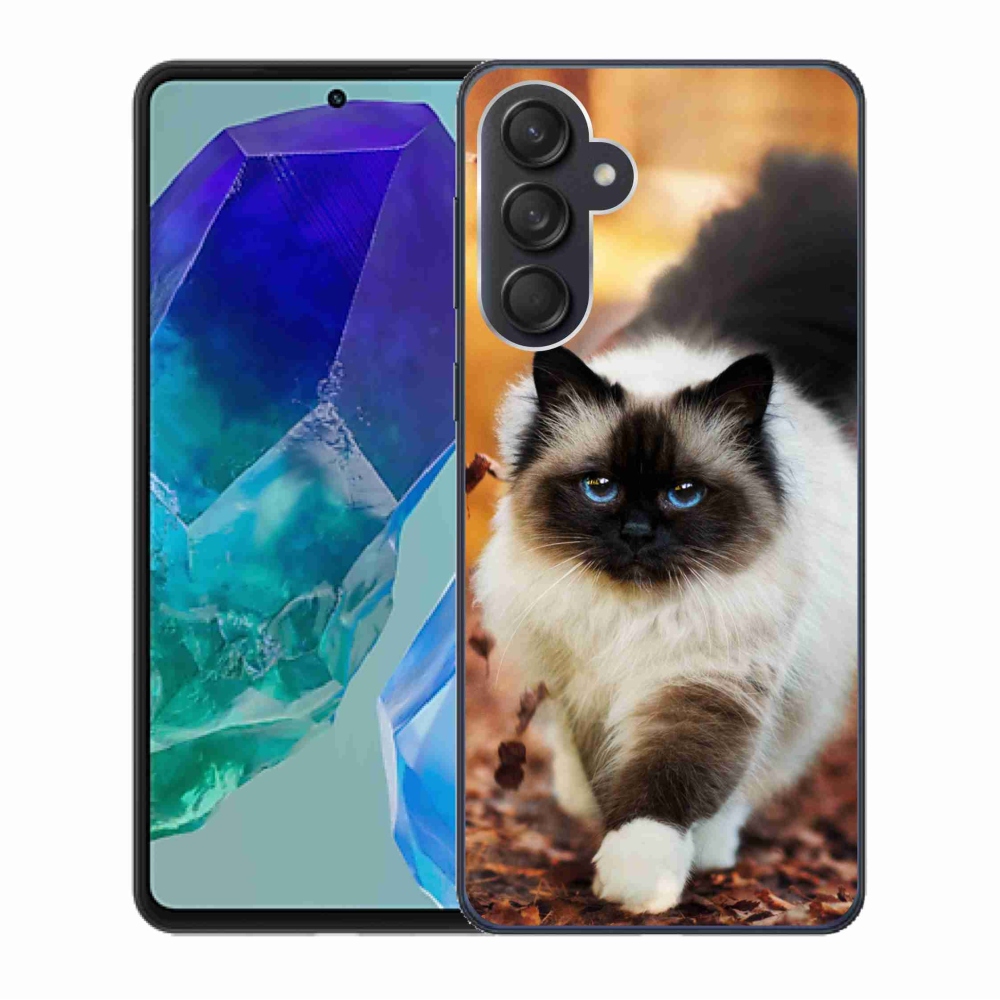 Gelový obal mmCase na Samsung Galaxy M55 5G - kočka