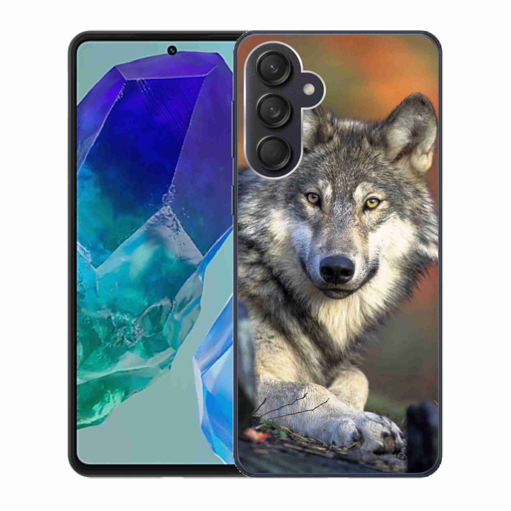Gelový obal mmCase na Samsung Galaxy M55 5G - vlk