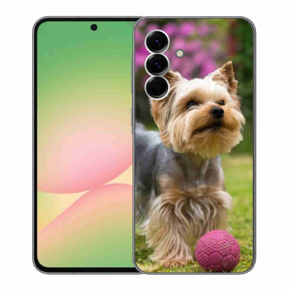 Gelový kryt mmCase na Samsung Galaxy A56 5G - jorkšír 4