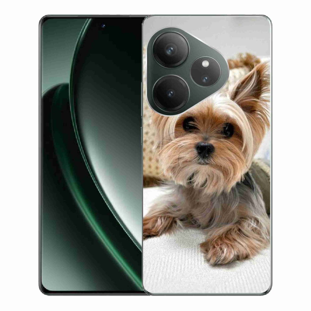 Gelový obal mmCase na Realme GT 6 5G/GT 6T 5G - jorkšír 5