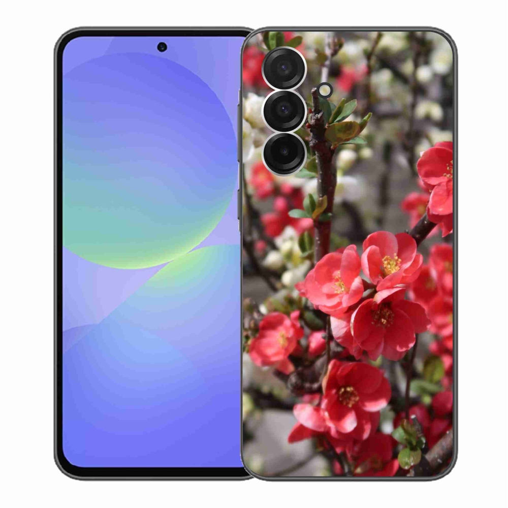 Gelový kryt mmCase na Samsung Galaxy A36 5G - červené květy