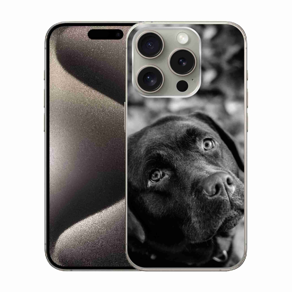 Gelový obal mmCase na iPhone 15 Pro - labrador