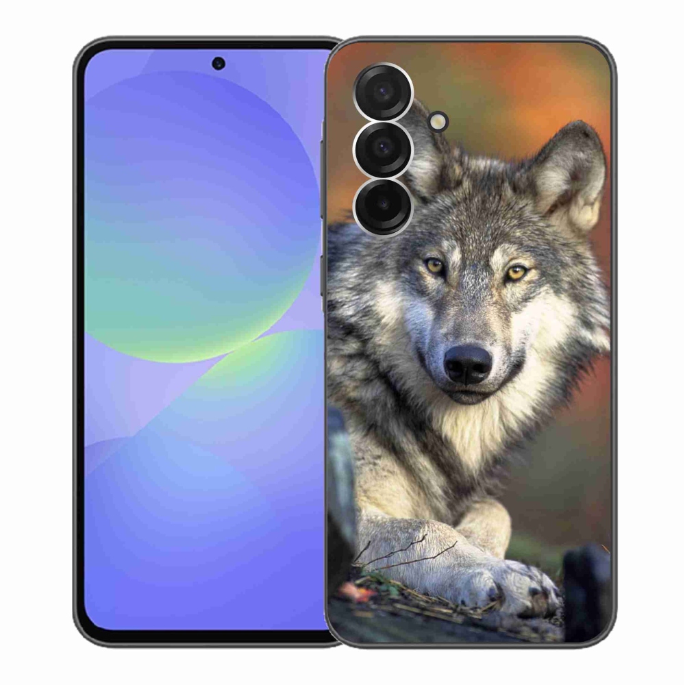 Gelový kryt mmCase na Samsung Galaxy A36 5G - vlk