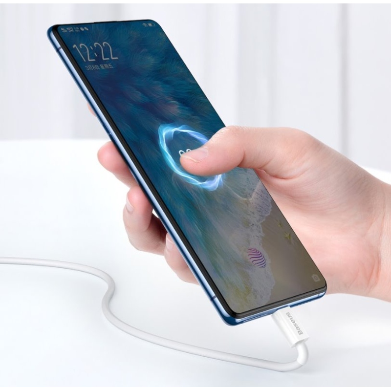 Baseus CAMYS-02 Superior Fast Charging Datový Kabel MicroUSB 2A 1m White