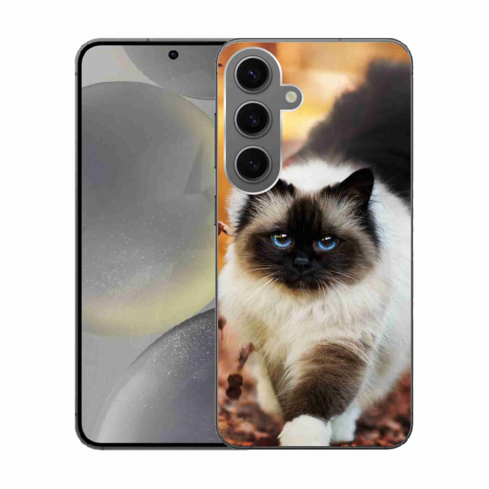 Gelový obal mmCase na Samsung Galaxy S24 - kočka