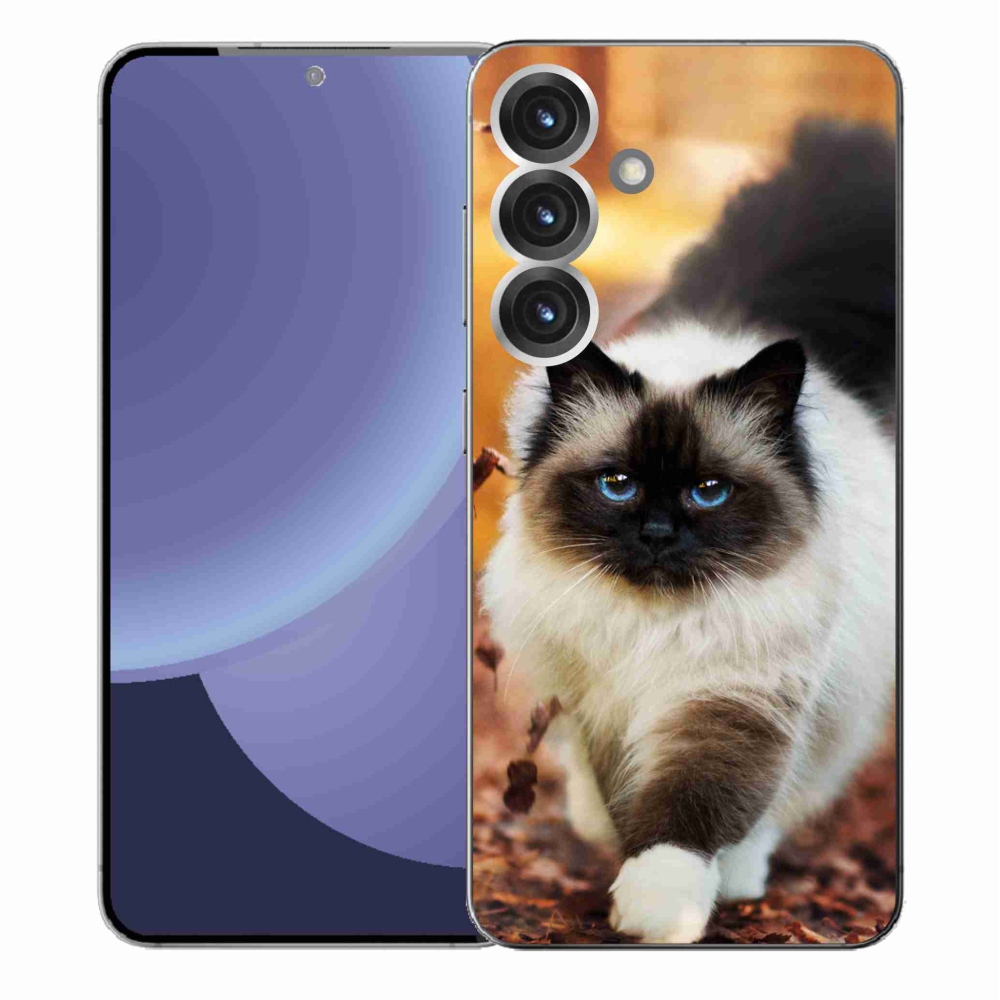 Gelový kryt mmCase na Samsung Galaxy S25+ - kočka