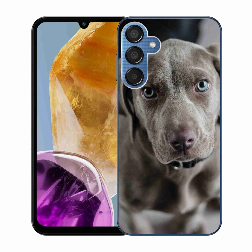 Gelový obal mmCase na Samsung Galaxy M15 5G - výmarský ohař