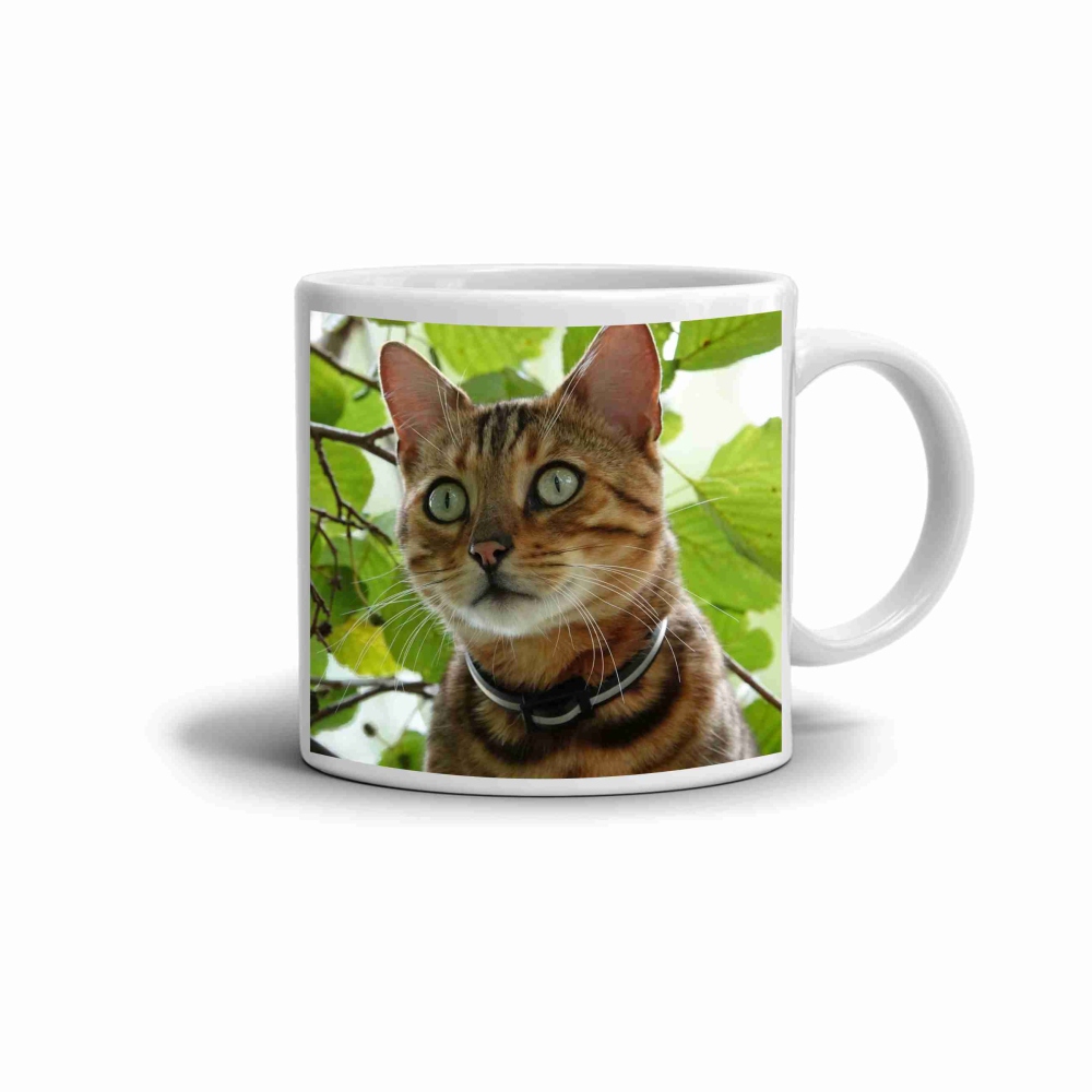 Bílý keramický hrnek 330ml s obrázkem - bengálská kočka v přírodě