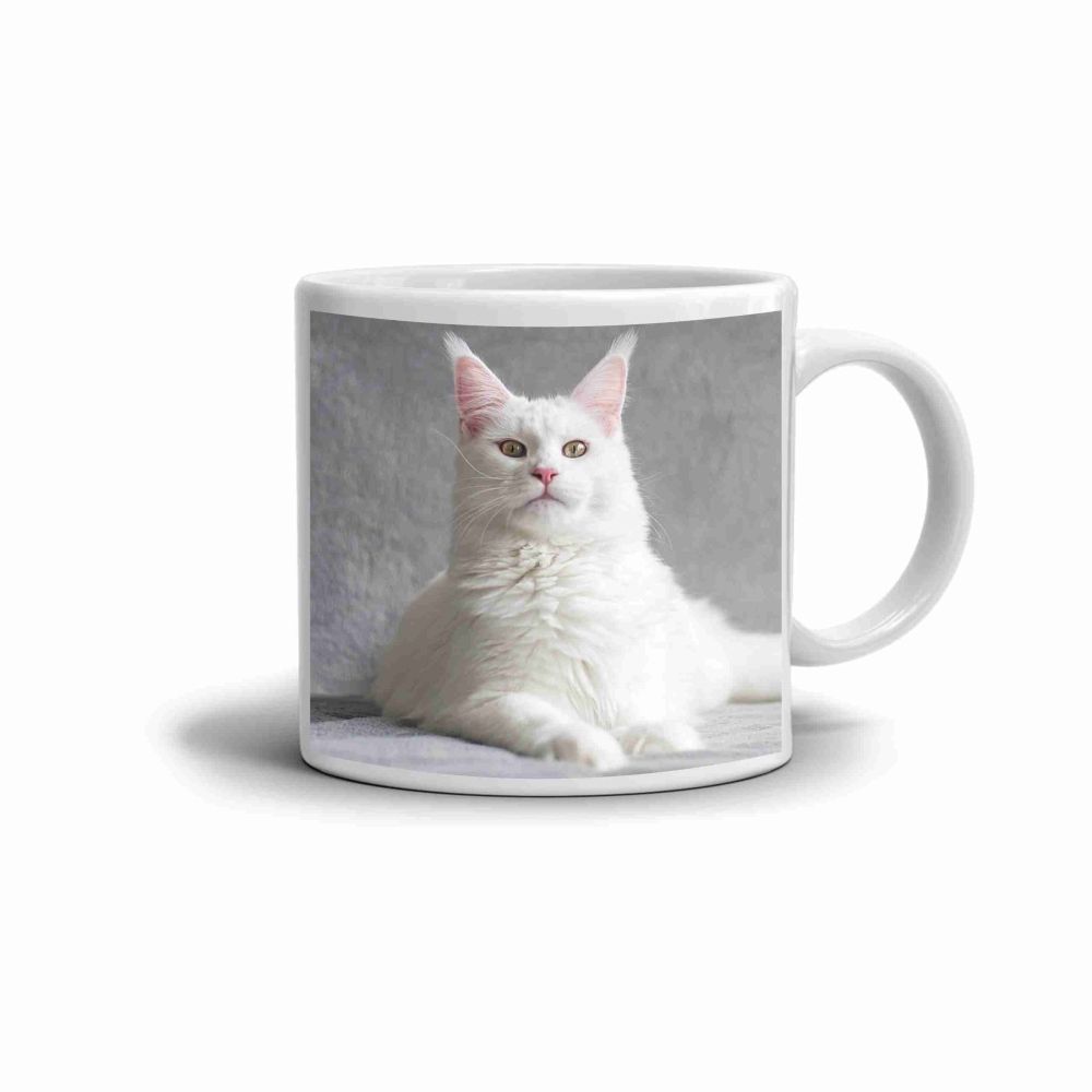 Bílý keramický hrnek 330ml s obrázkem - bílá mainská mývalí kočka
