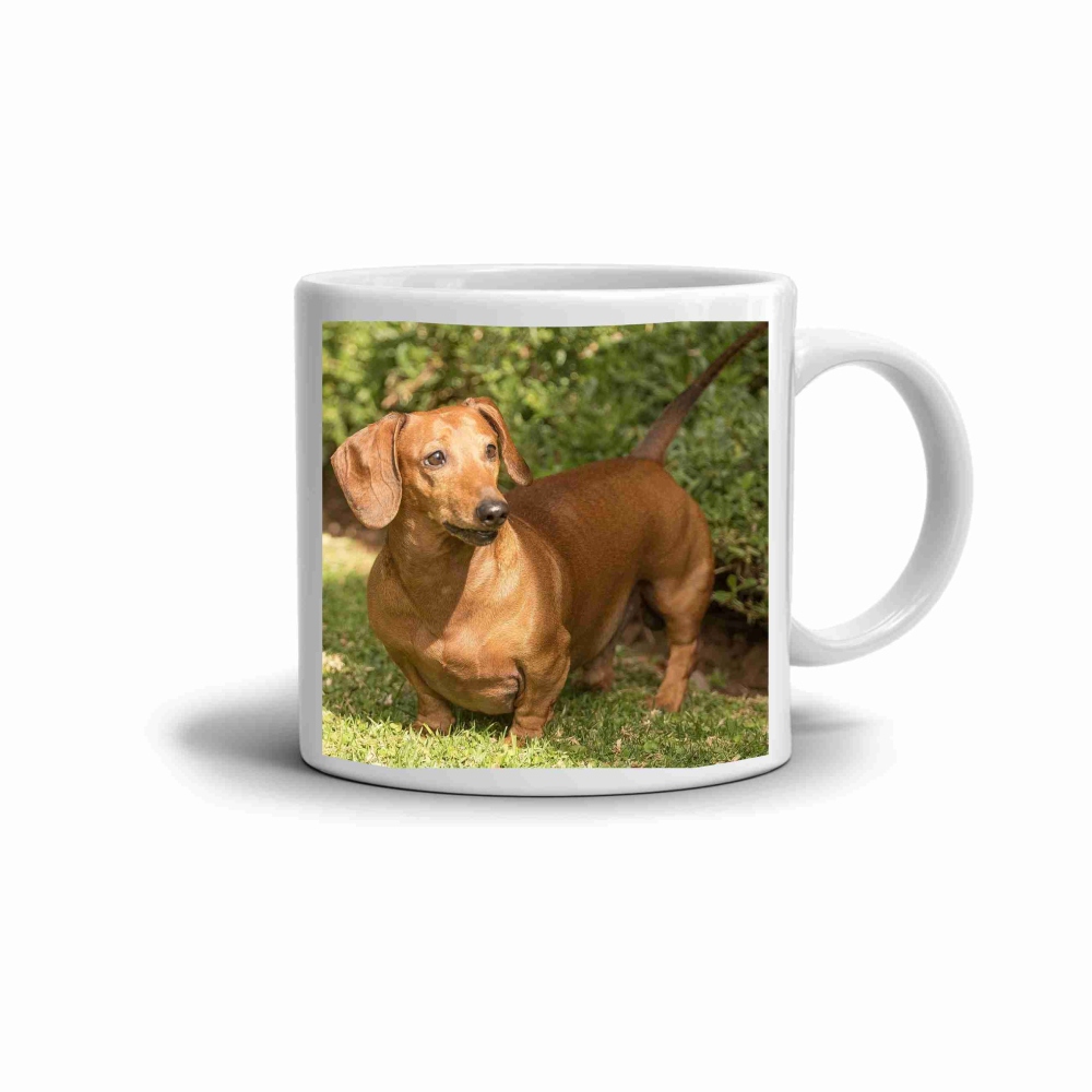 Bílý keramický hrnek 330ml s obrázkem - jezevčík