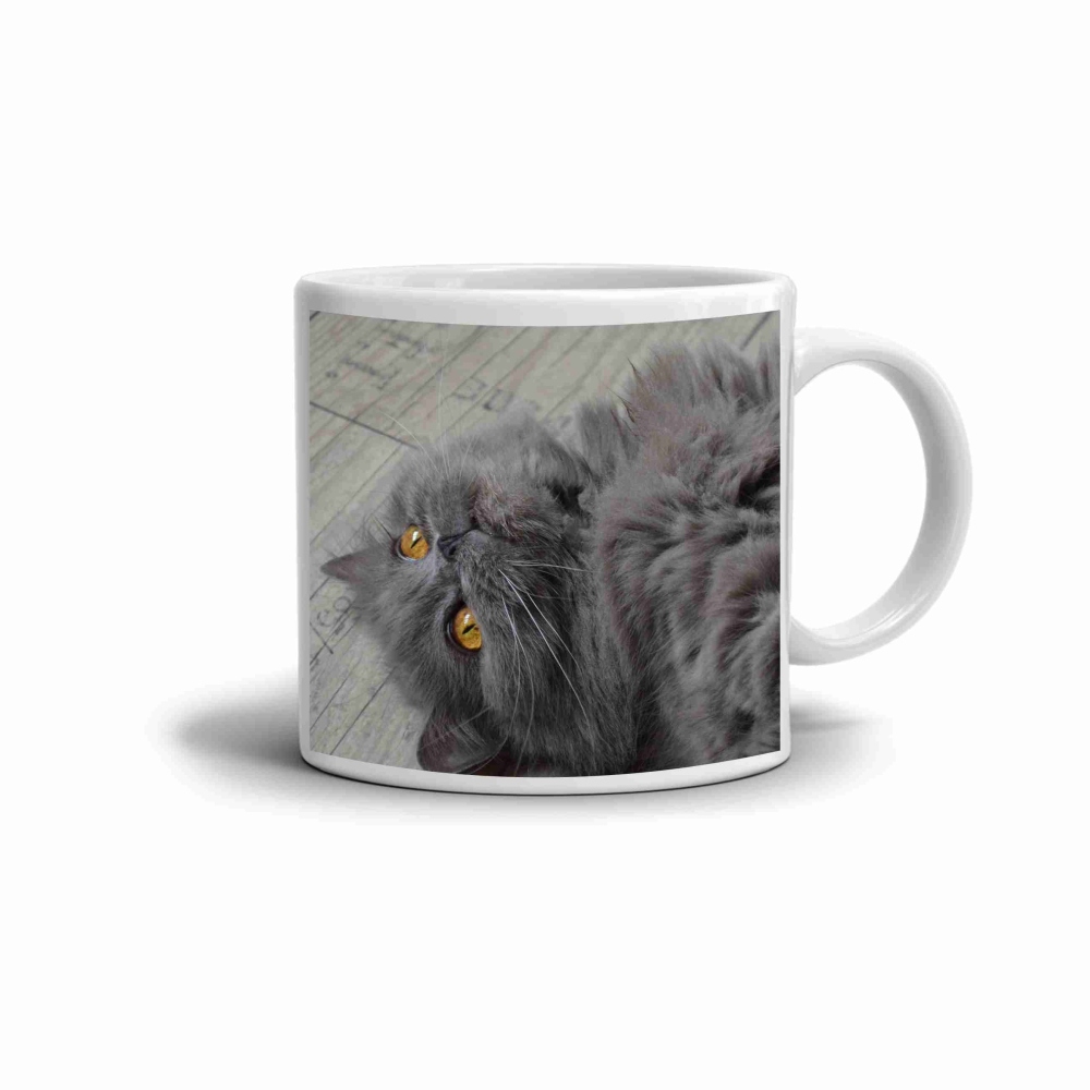 Bílý keramický hrnek 330ml s obrázkem - kočičí mazlíček