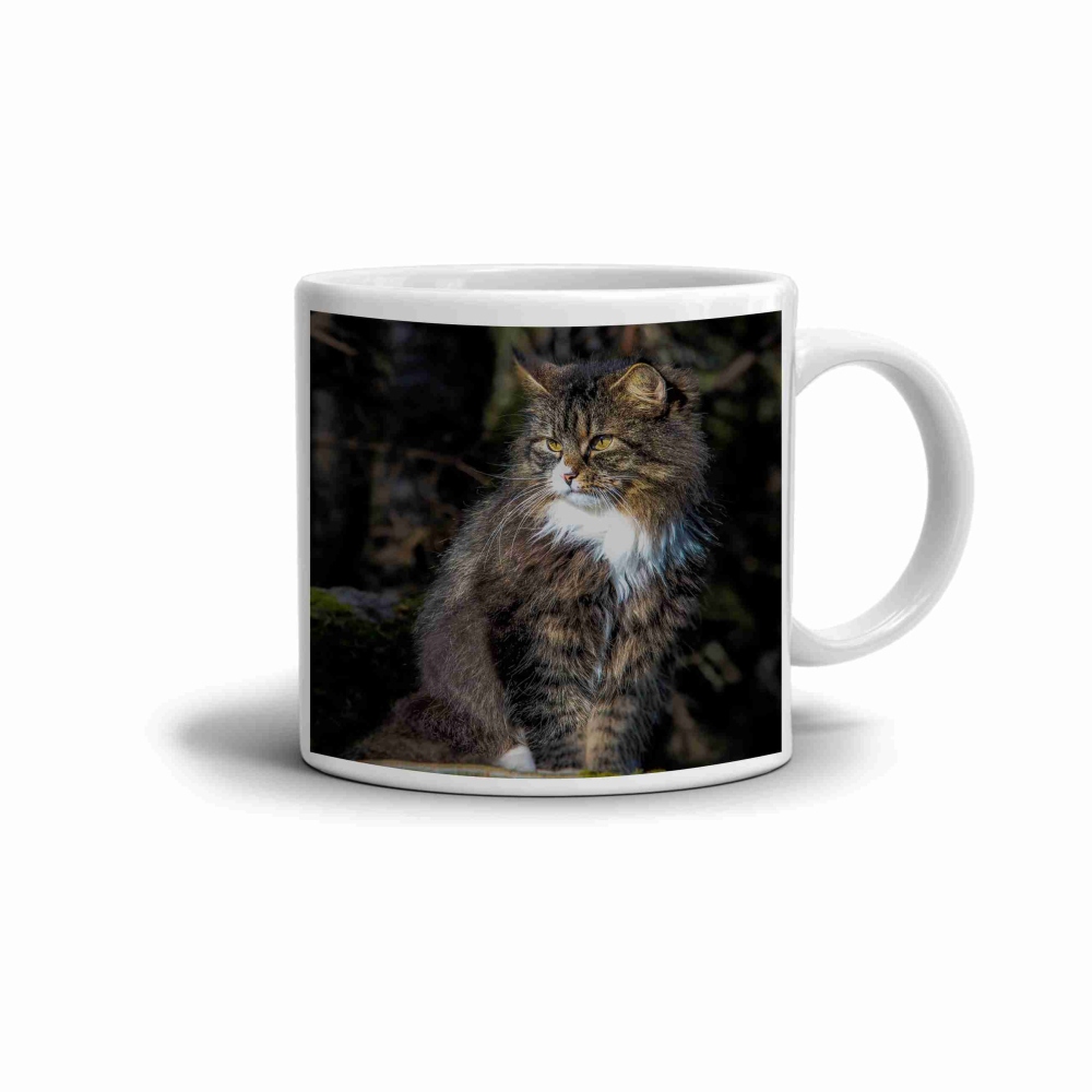 Bílý keramický hrnek 330ml s obrázkem - lesní kočičí královna