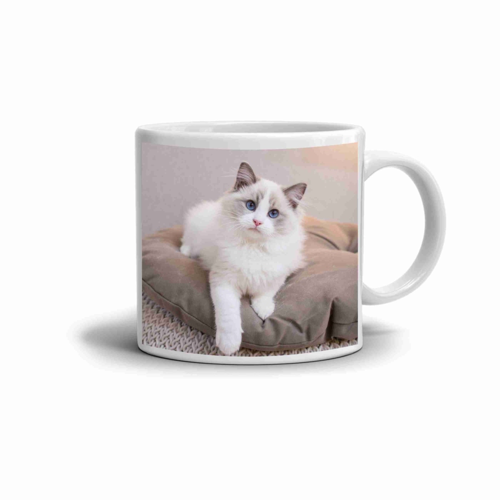 Bílý keramický hrnek 330ml s obrázkem - mazlivý ragdoll