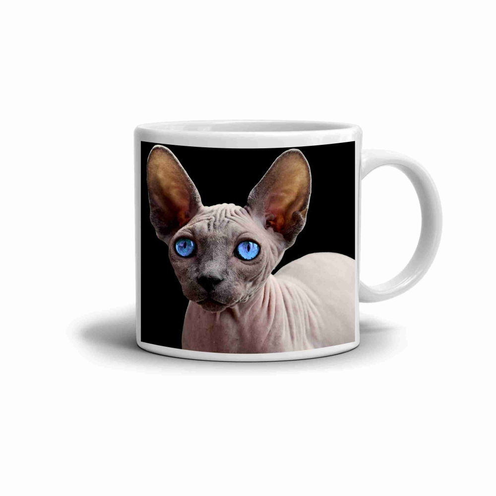 Bílý keramický hrnek 330ml s obrázkem - modrooký sphynx