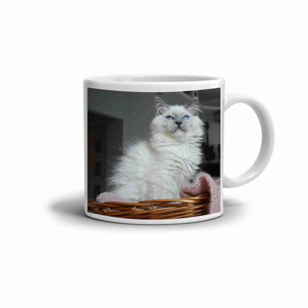 Bílý keramický hrnek 330ml s obrázkem - ragdoll v pelíšku