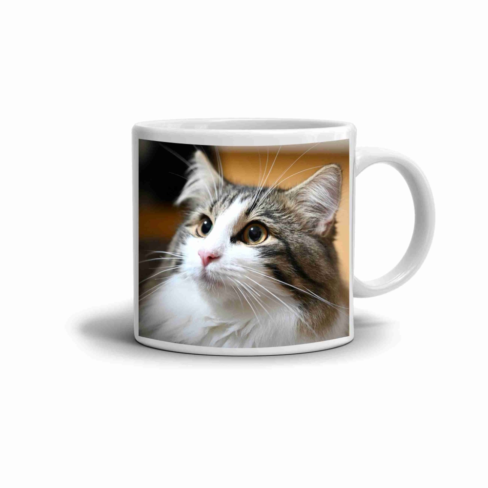 Bílý keramický hrnek 330ml s obrázkem - roztomilá dlouhosrstá kočka