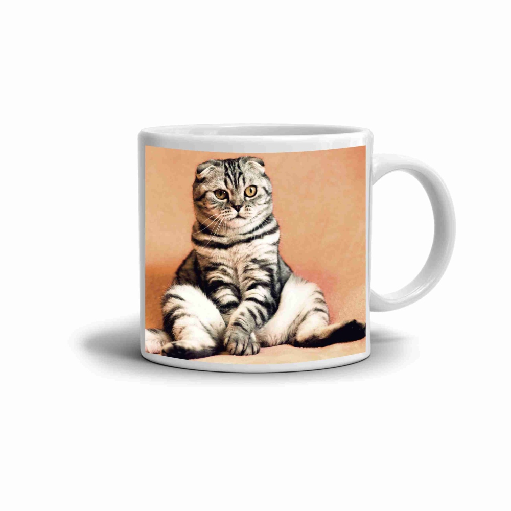 Bílý keramický hrnek 330ml s obrázkem - sedící skotská klapouchá kočka