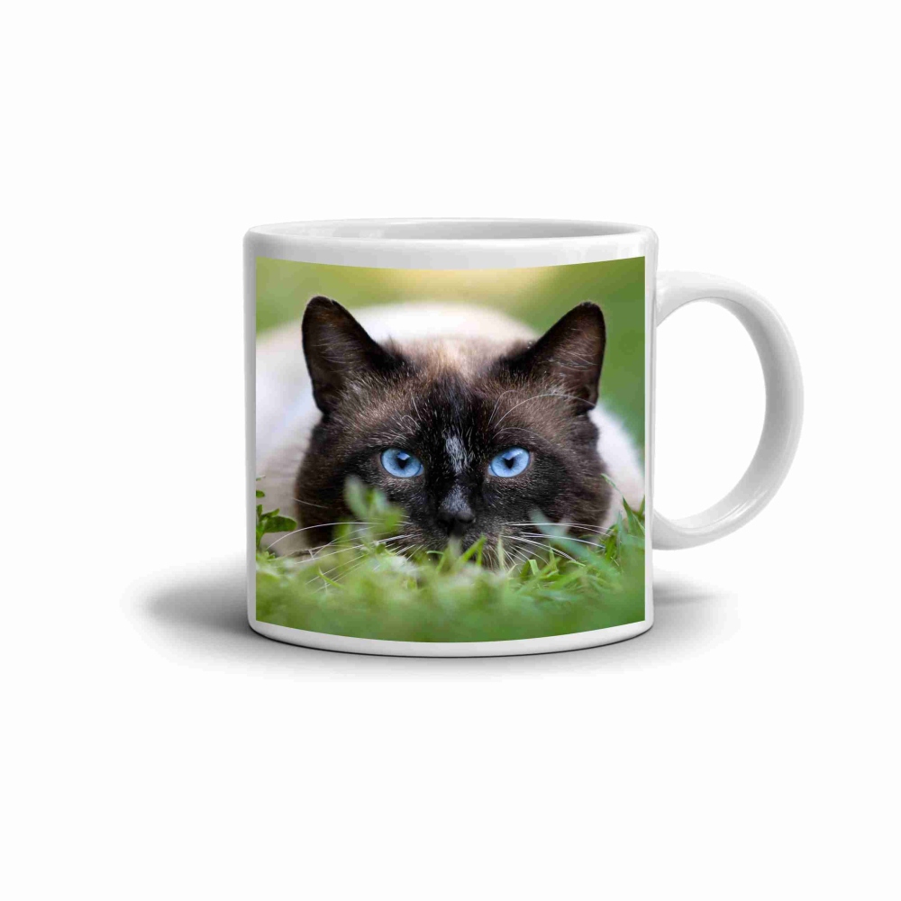 Bílý keramický hrnek 330ml s obrázkem - siamská kočka v trávě