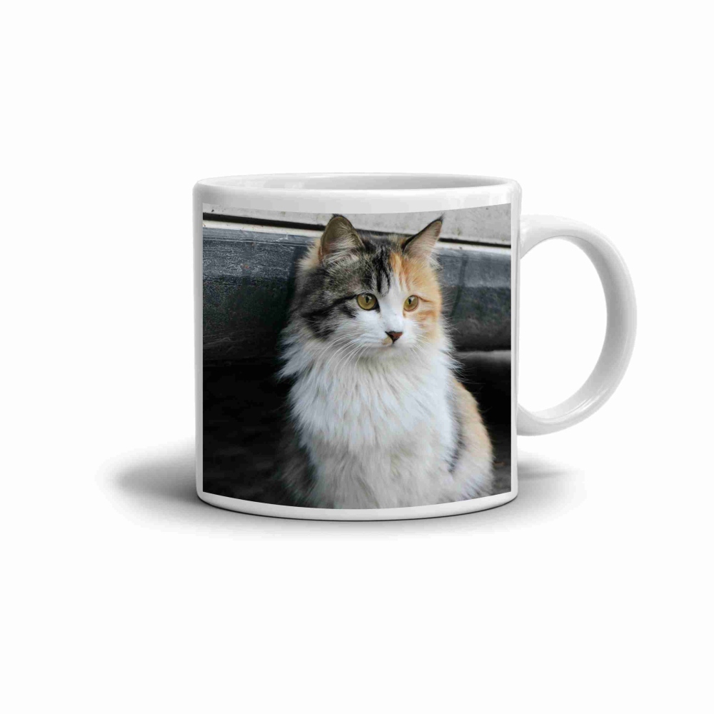 Bílý keramický hrnek 330ml s obrázkem - trikolorní kočičí kráska