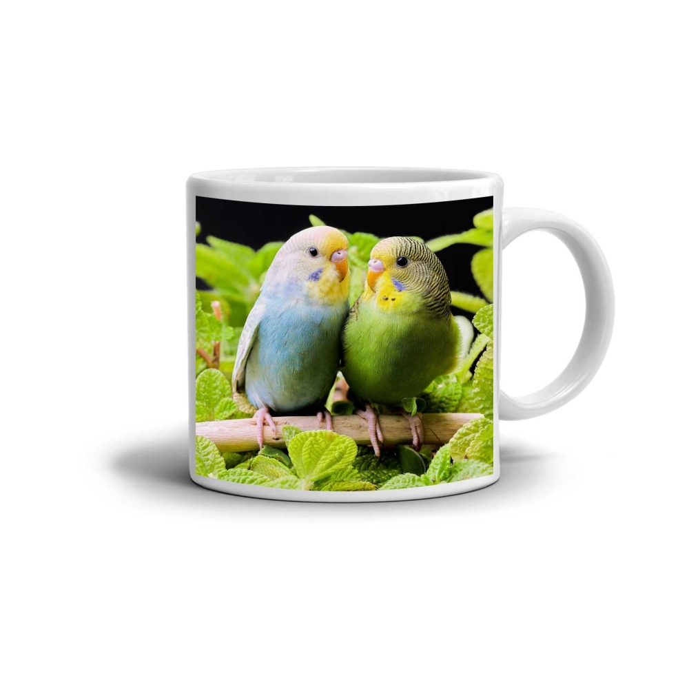 Bílý keramický hrnek 330ml s obrázkem - zamilované andulky