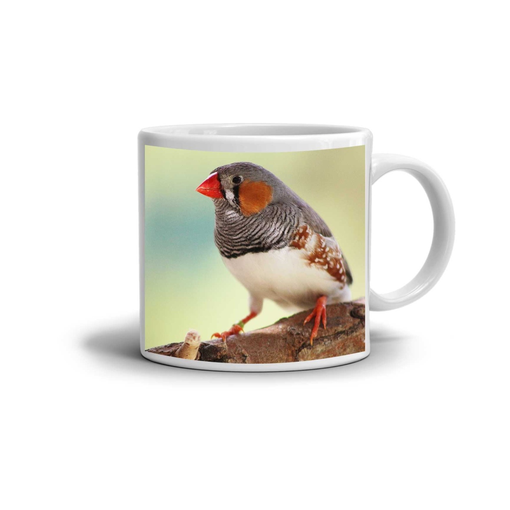 Bílý keramický hrnek 330ml s obrázkem - zebřička pestrá