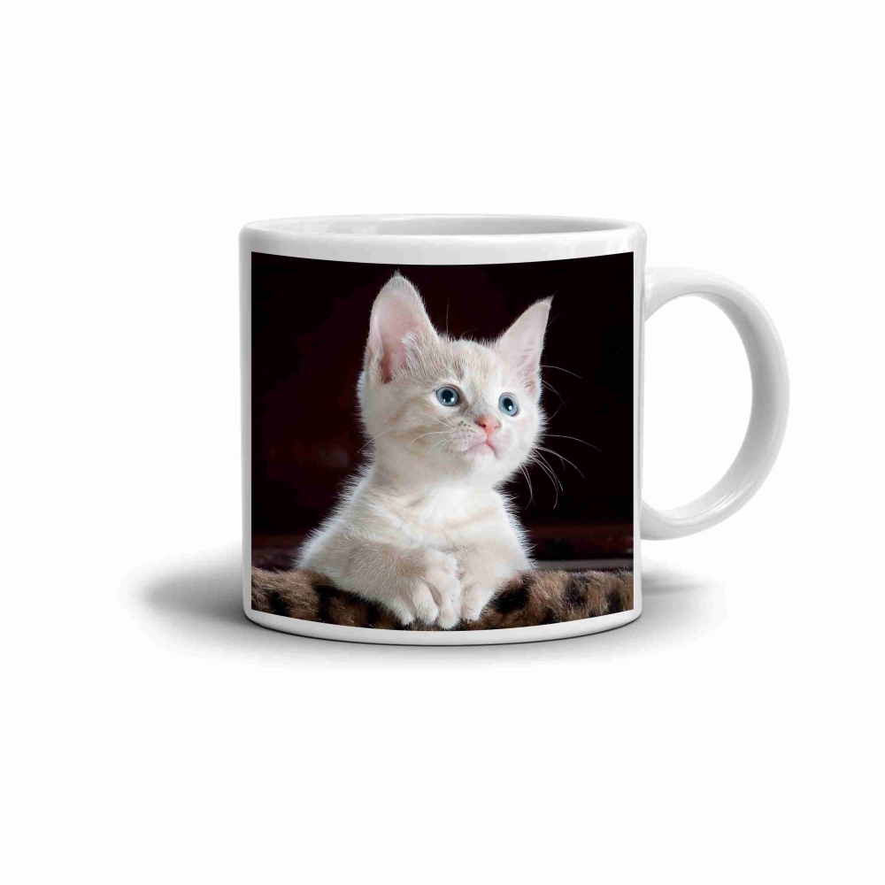 Bílý keramický hrnek 330ml s obrázkem - zvědavé koťátko
