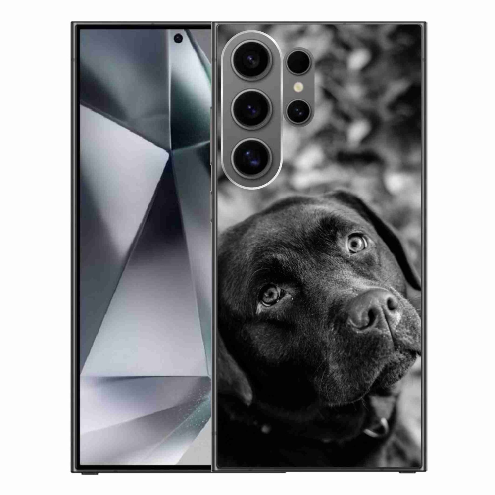 Gelový obal mmCase na Samsung Galaxy S24 Ultra - labrador