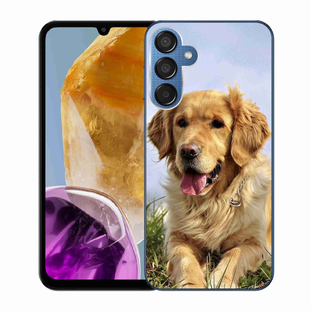 Gelový obal mmCase na Samsung Galaxy M15 5G - zlatý retrívr