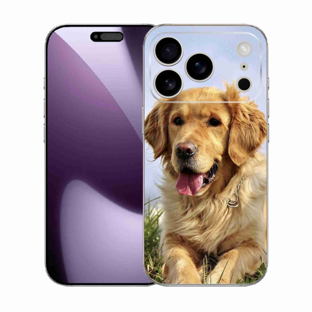 Gelový kryt mmCase na iPhone 17 Pro - zlatý retrívr