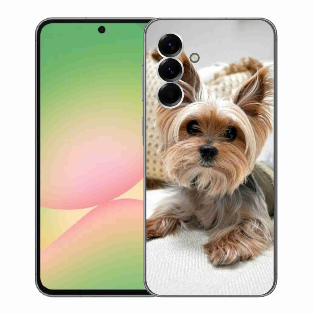 Gelový kryt mmCase na Samsung Galaxy A56 5G - jorkšír 5