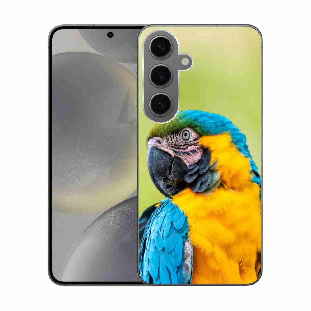 Gelový obal mmCase na Samsung Galaxy S24 - papoušek ara 2