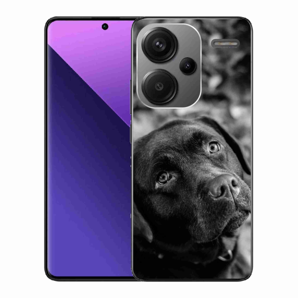 Gelový obal mmCase na Xiaomi Redmi Note 13 Pro+ 5G - labrador