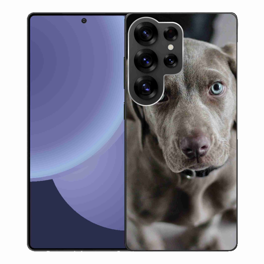 Gelový kryt mmCase na Samsung Galaxy S25 Ultra - výmarský ohař