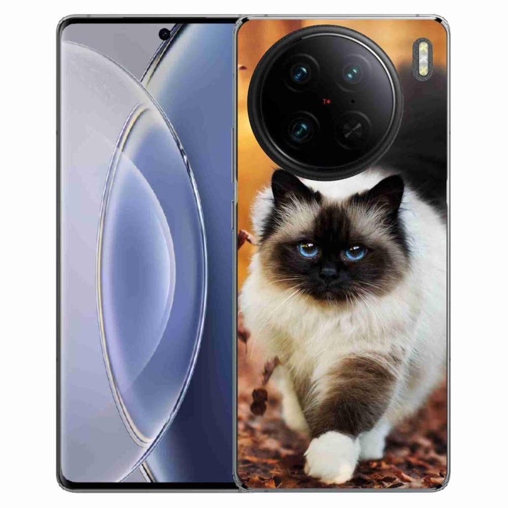 Gelový obal mmCase na Vivo X90 Pro - kočka