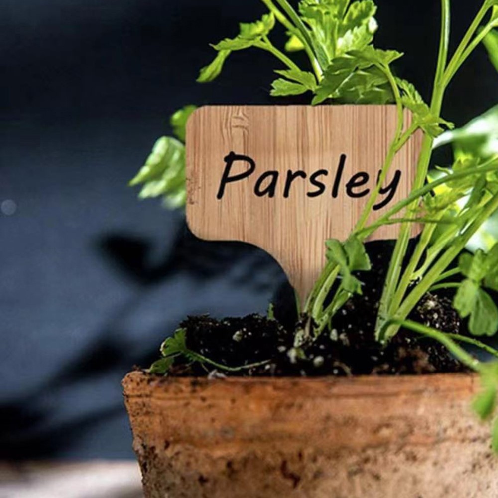 Sada dřevěných zahradních jmenovek k rostlinám 10 ks