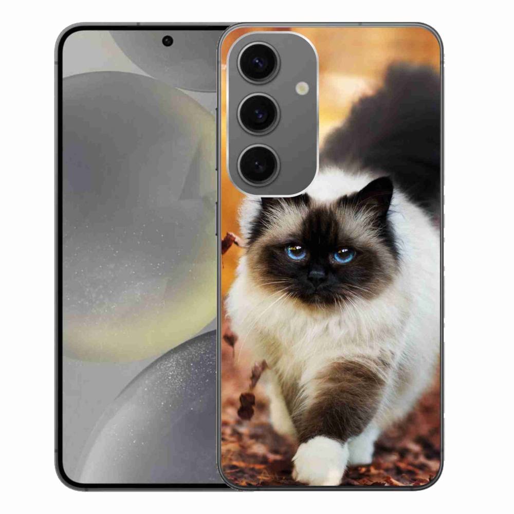 Gelový obal mmCase na Samsung Galaxy S24+ - kočka