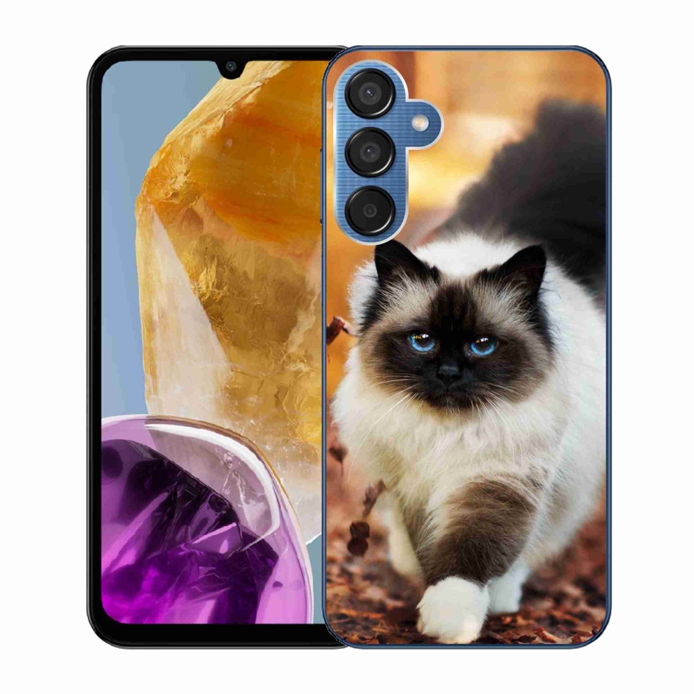 Gelový obal mmCase na Samsung Galaxy M15 5G - kočka