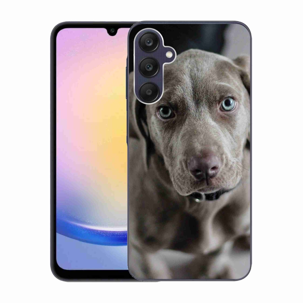 Gelový obal mmCase na Samsung Galaxy A25 5G - výmarský ohař
